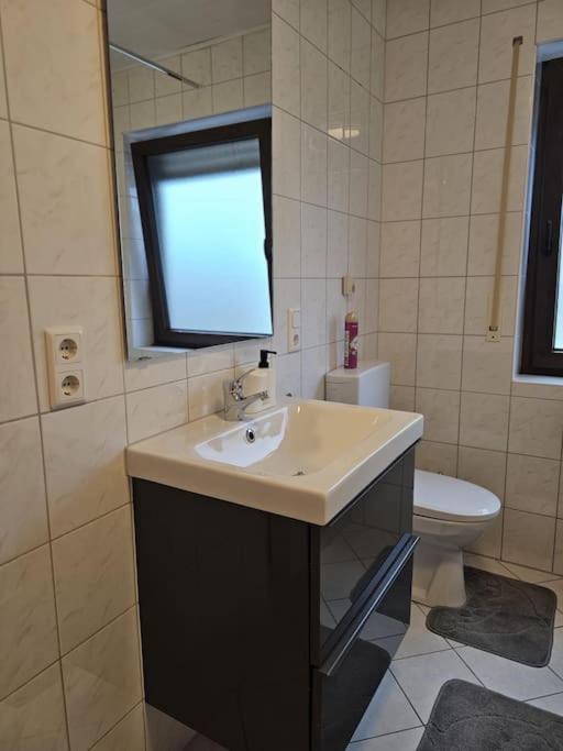 Gemuetliche Ferienwohnung Mulheim-Karlich Ngoại thất bức ảnh