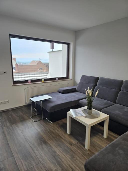 Gemuetliche Ferienwohnung Mulheim-Karlich Ngoại thất bức ảnh